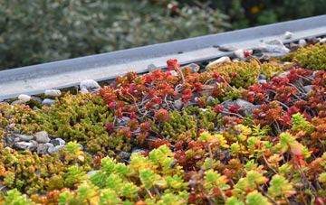 the cost of St Blazey Gate green roof installation